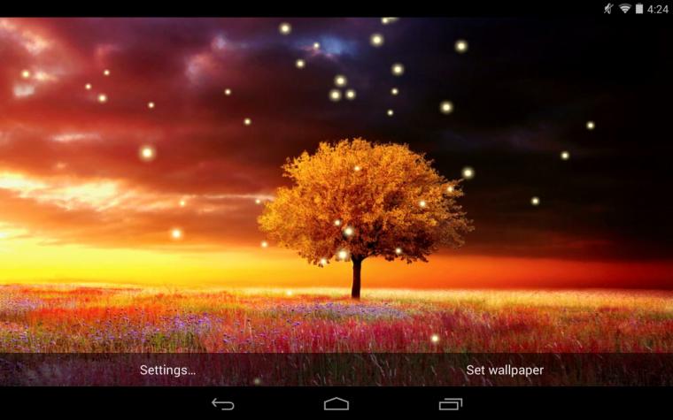 Free Download Excelentes Wallpapers A Todo Color Taringa 1440x900 For