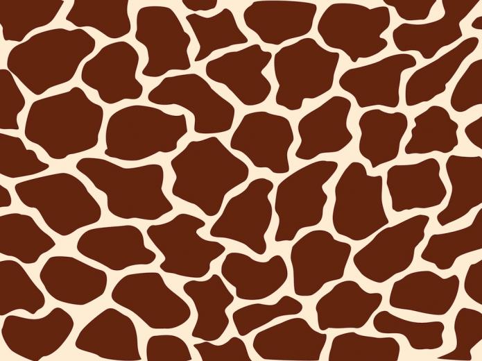 Free download giraffe pattern 1024x766 for your desktop mobile 