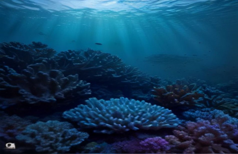 Under The Ocean AI Wallpaper