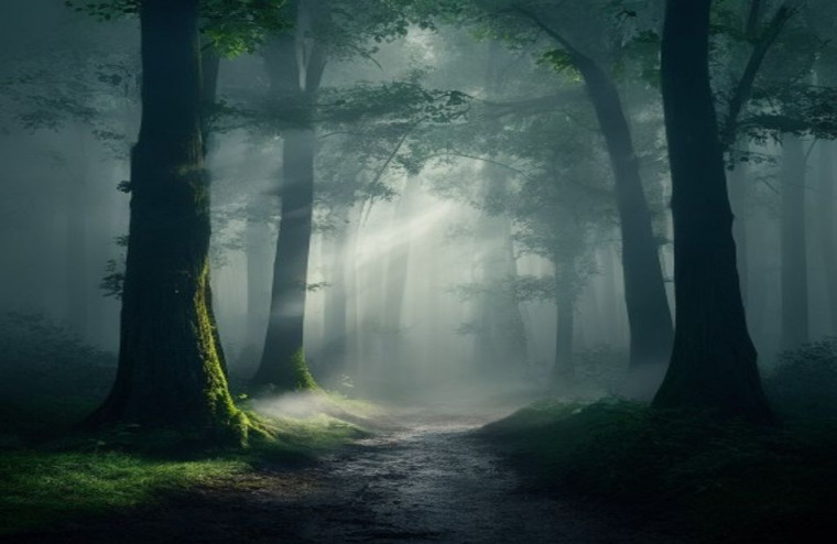 Foggy Forest AI Wallpaper
