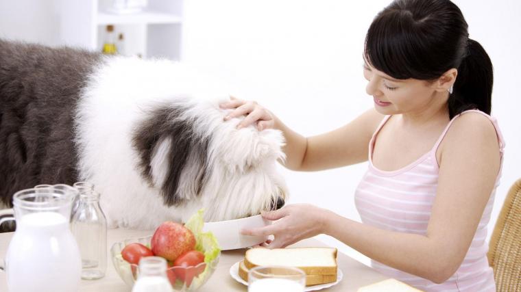 рџ ґ 70 Penthouse Pet Wallpapers Wallpapersafari