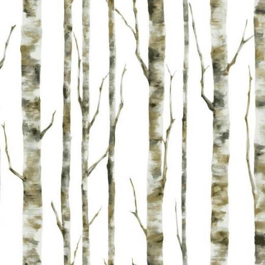 Free download Beige Birch Trees Wallpaper Traditional Wallpaper