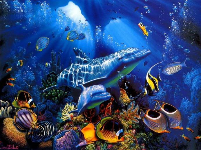 Free download Underwater World Wallpaper [1024x768] for your Desktop ...