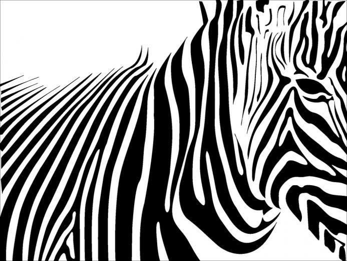Free Download Wallpaper Print 640x512 For Your Desktop Mobile