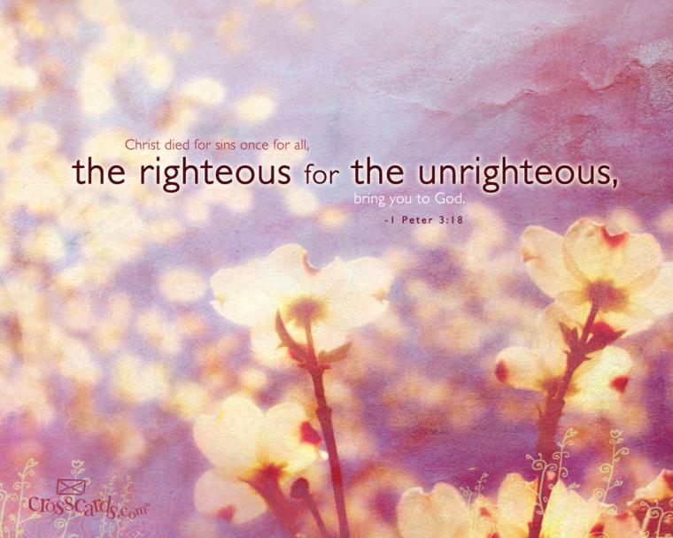 Free download Philippians Bible Verse Content Wallpapers For Desktop