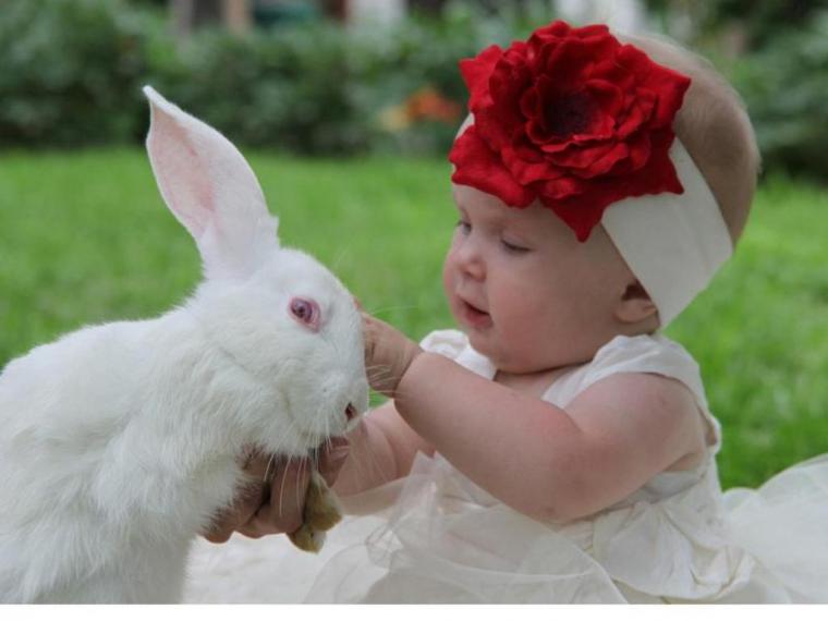 Free download Penthouse Pet Wallpapers [1600x1200] for your Desktop