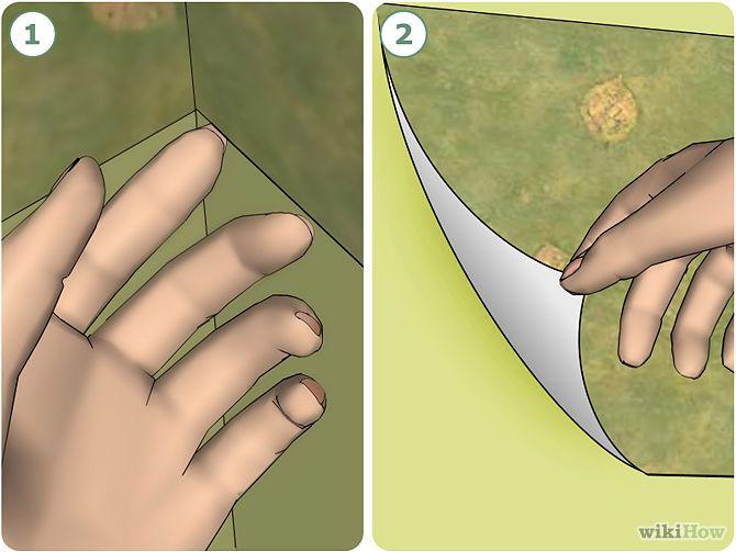 Free download How To Take Wallpaper Border Off Release Date Price and