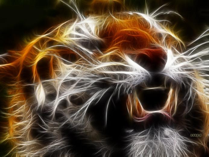 Free download Neon Tiger [900x676] for your Desktop, Mobile & Tablet ...