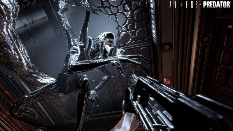 [50+] Free Wallpaper Samples Online on WallpaperSafari