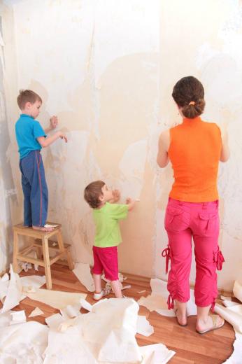 Free Download You Are Here Home THE DIYs The Best Way To Remove Wallpaper 730x375 For Your 