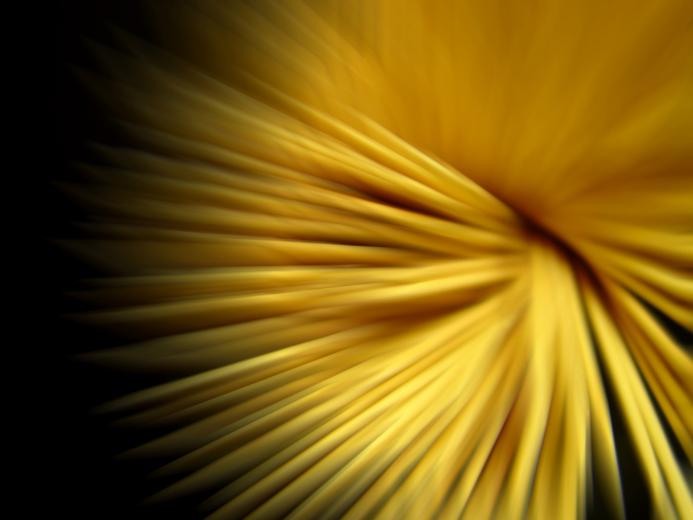 Free download Qunang Qunang Blog the yellow wallpaper summary [1024x768