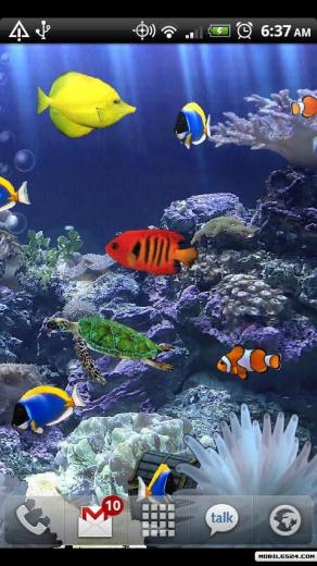 49 Free Live Fish Aquarium Wallpaper On Wallpapersafari