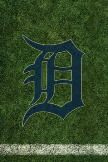 Free download Detroit Tigers and Lions Wallpaper by rsholtis [1024x560 ...