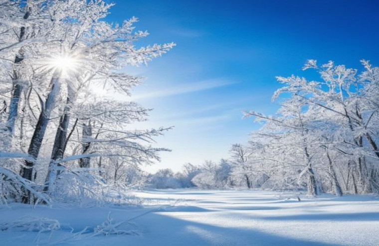 Winter Pictures AI Wallpaper