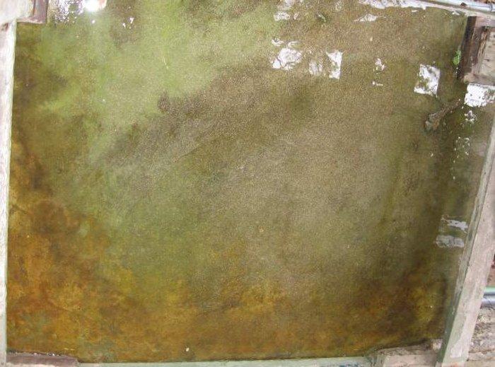 Free download download next wallpaper prev wallpaper [1920x1200] for