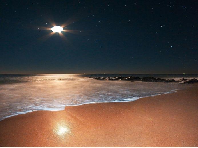 Free Download Beachmoon Beach Moon Night Watch Moon Wallpapers Desktop