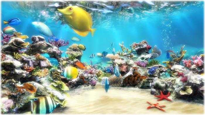 Free download Aquarium Live Wallpaper Aplikacja Android Instalkipl