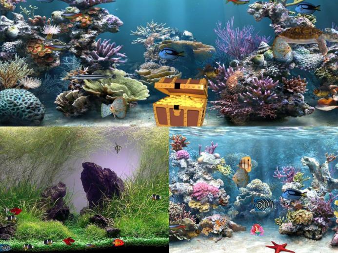 best aquarium screensaver for windows 7