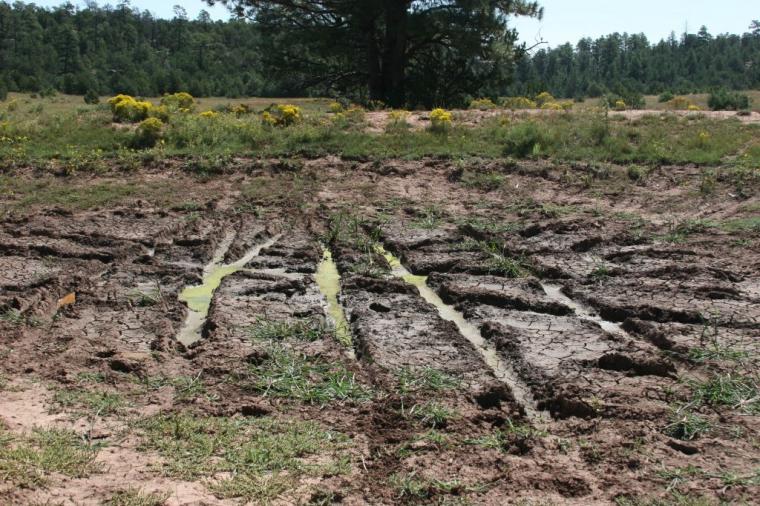 Free download Renovation Wallpaper Removal Drywall Mud Used as Spackle