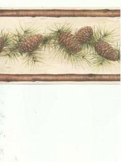 Free download Amazoncom Wallpaper Border Pine Cone Pinecone Berry Die