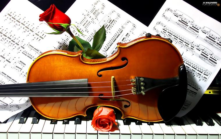 Free download instruments Violin and Roses boy68jpg [1280x800] for your ...