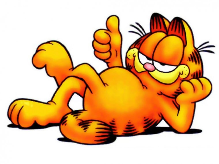 Free Download Funny Garfield Wallpapers 1024x768 For Your Desktop Mobile Tablet Explore 74 Funny Garfield Wallpaper Garfield Wallpapers Quotes Garfield Halloween Wallpaper Garfield Wallpapers Downloads