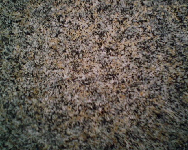 Free download Forest Friends Multi Peel Stick Wall Decal Border