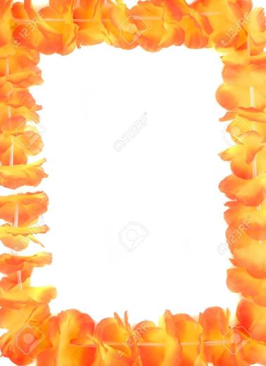 Free download Plumeria orchid and ilima Flower lei on white background