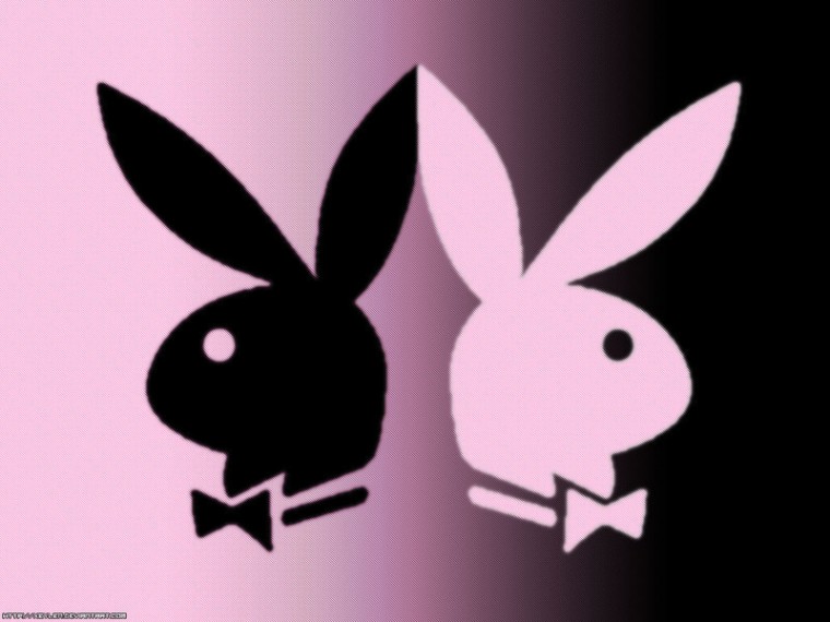 barbie playboy bunny