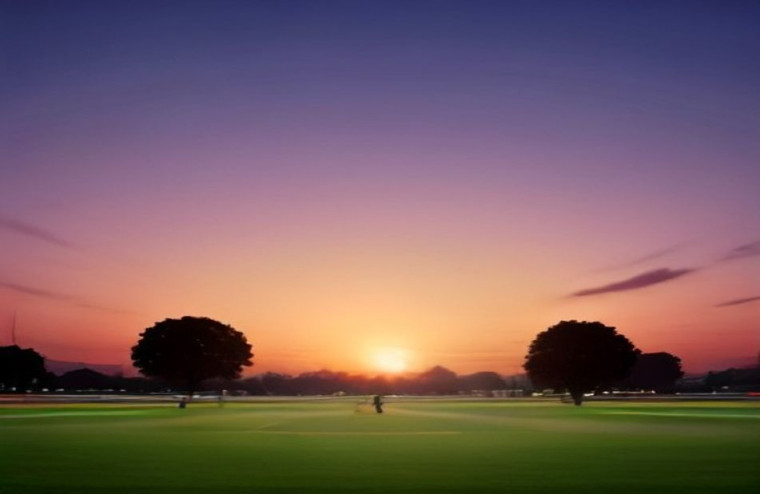 Cricket AI Wallpaper