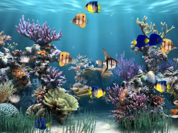 [50+] Free 3D Aquarium Wallpaper on WallpaperSafari