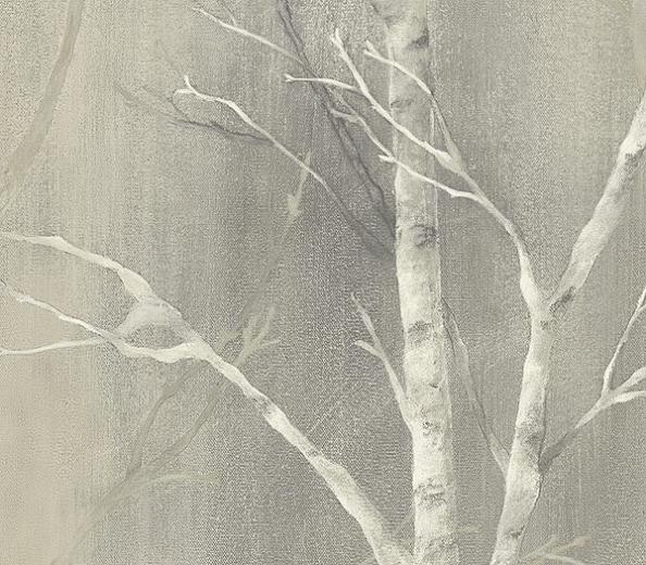 Free download The Tipping Points birch tree wallpaper Cole Sons