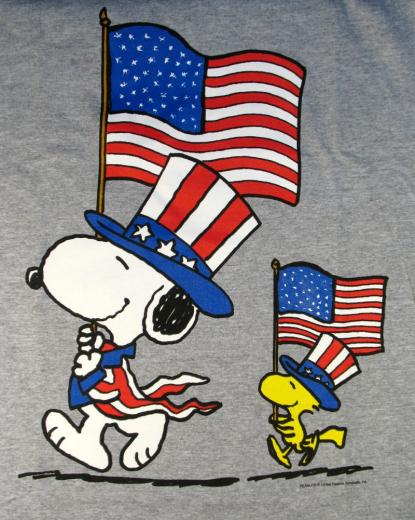 Free download The Flag Snoopy The Gang Pinterest [507x720] for your ...