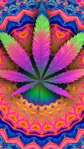 Free download Psychedelic Weed [396x500] for your Desktop, Mobile