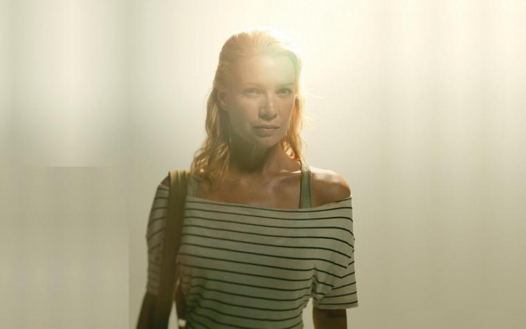 Free Download The Walking Dead Movies Actor Laurie Holden Wallpaper