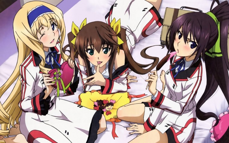 My Anime Wallpaper by Charisma Infinite Stratos Wallpaper 1600x1000.