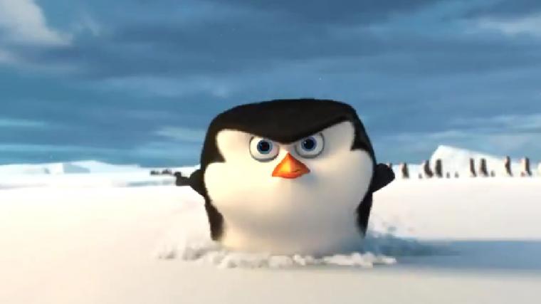 🔥 [40+] Skipper Wallpapers | WallpaperSafari