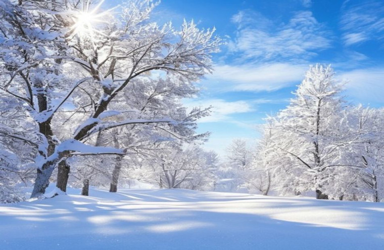 Winter Pictures AI Wallpaper