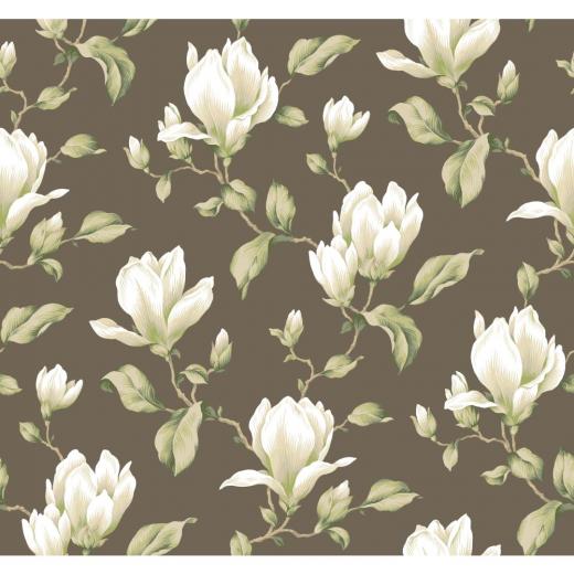 Free download Home Dark Green Magnolia Wallpaper Border [1000x600] for your Desktop, Mobile