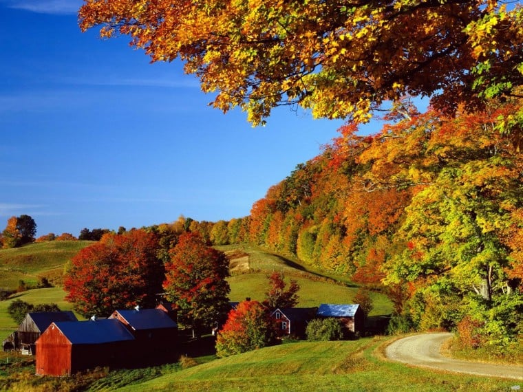 [43+] Vermont Autumn Background Wallpaper on WallpaperSafari