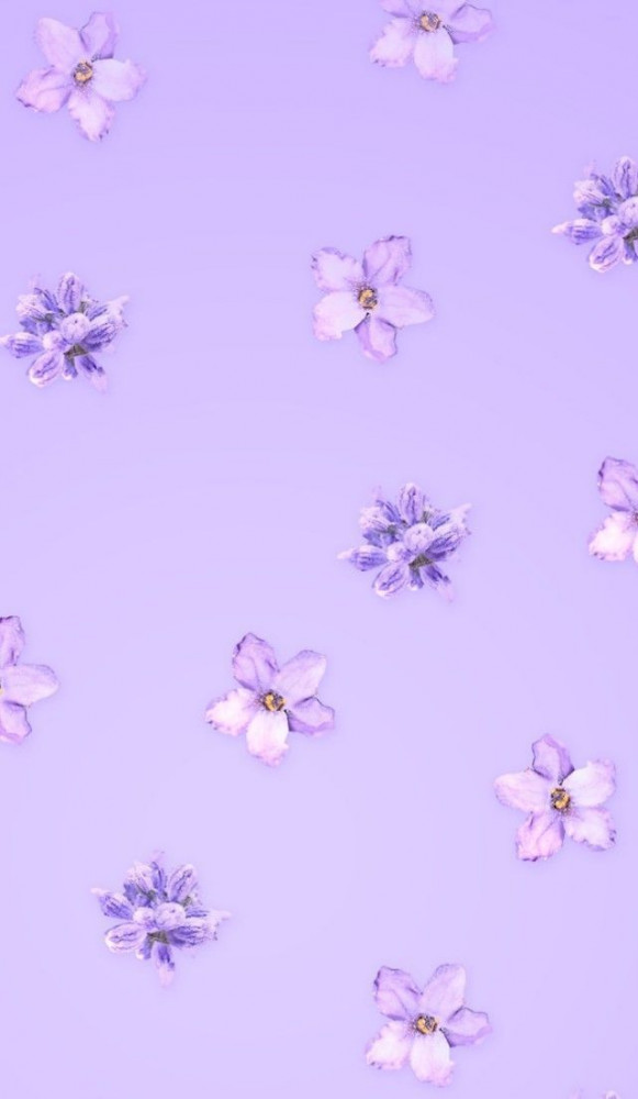🔥 Free Download Minimalistic Background Light Purple Wallpaper