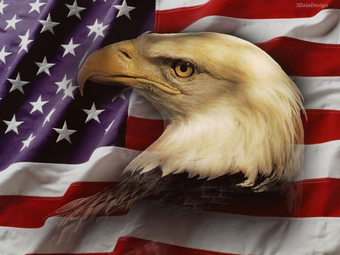 Free download USA Flag Wallpaper usa eagle 800 HD Wallpapers 3D ...