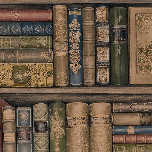 Free download Book Shelf Library Books Wallpaper Border All 4 Walls