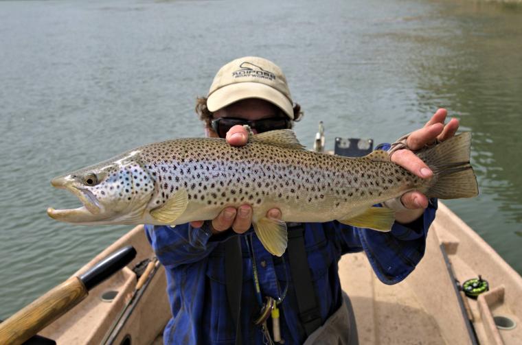 Free download Meet Madden Wallpapers [1680x1050] for your Desktop