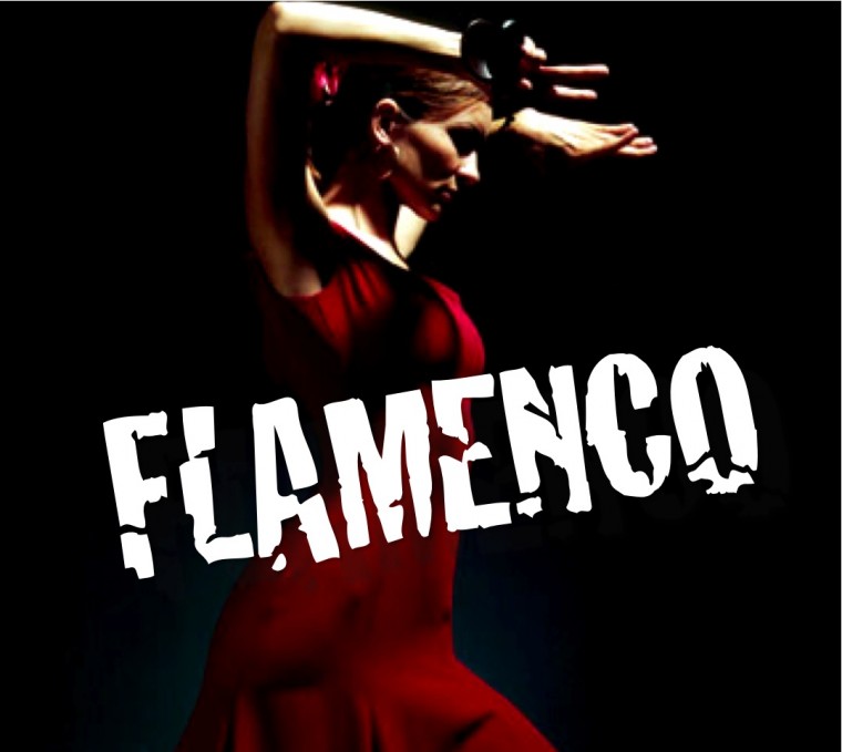[71+] Flamenco Wallpaper on WallpaperSafari