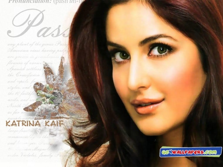 Free Download Katrina Kaif Best Hd Wallpapers 2012 Bollywood Actress 