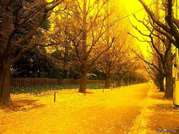 Free download Yellow Abstract Wallpaper Windows Themes 3214 Wallpaper