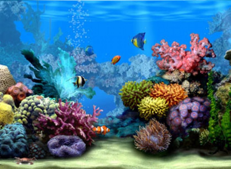 Free download Computer Background Wallpapers Moving Animated Desktop