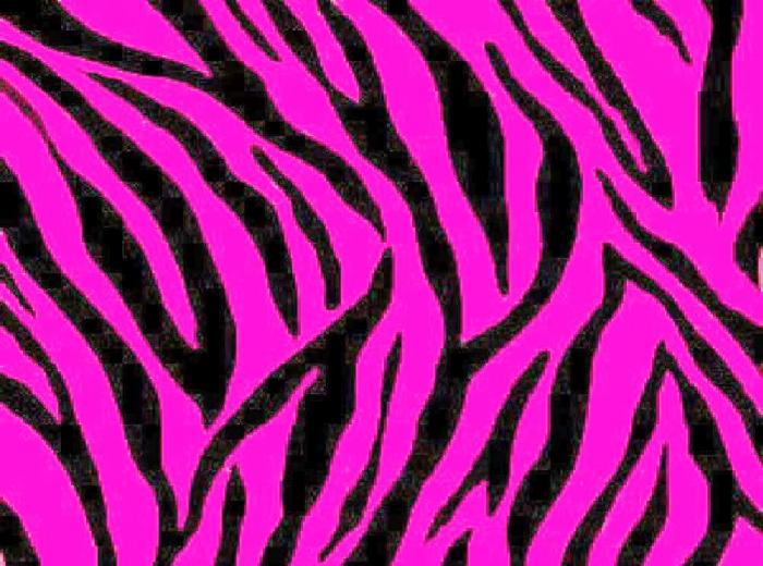 Zebra WallpaperZebra Print WallpaperZebra Wallpaper BorderPink. 48 ...