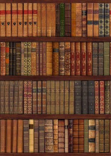 Free download Tall bookshelves wallpaper 4672 [1920x1200] for your ...